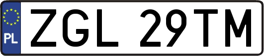ZGL29TM