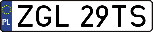 ZGL29TS