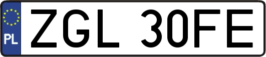 ZGL30FE