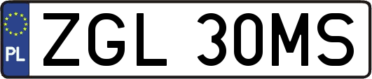 ZGL30MS