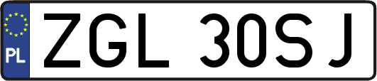 ZGL30SJ