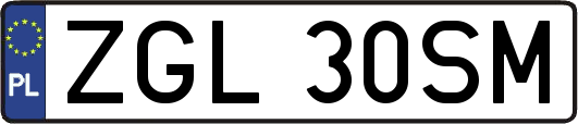 ZGL30SM