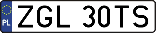 ZGL30TS