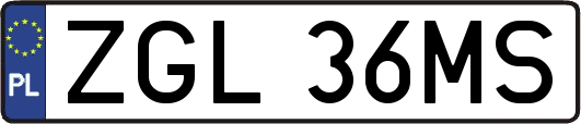 ZGL36MS