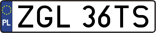 ZGL36TS