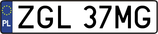ZGL37MG