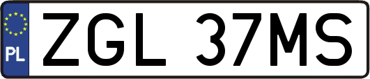 ZGL37MS