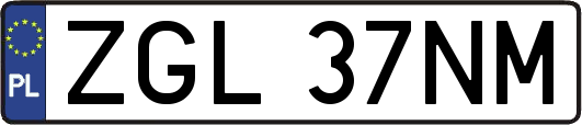 ZGL37NM