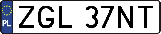 ZGL37NT