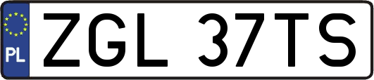 ZGL37TS