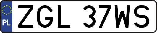 ZGL37WS