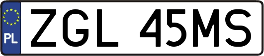 ZGL45MS