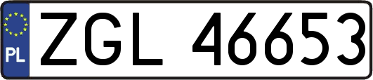 ZGL46653
