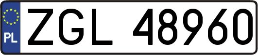 ZGL48960