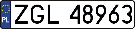 ZGL48963