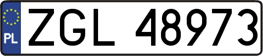 ZGL48973