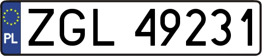 ZGL49231