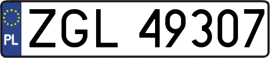 ZGL49307