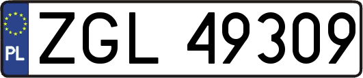 ZGL49309