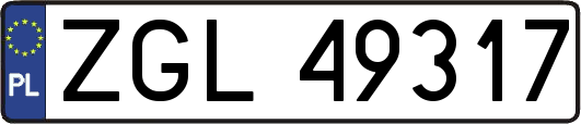 ZGL49317