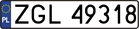 ZGL49318