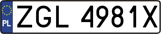 ZGL4981X