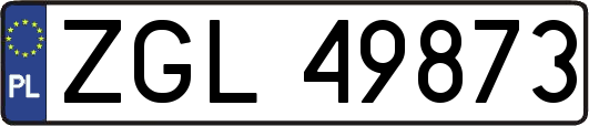 ZGL49873
