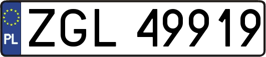 ZGL49919