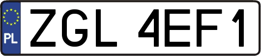 ZGL4EF1