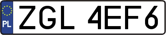 ZGL4EF6