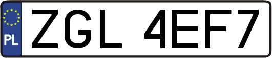 ZGL4EF7