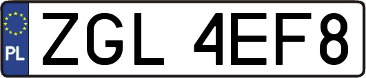 ZGL4EF8