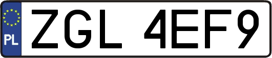 ZGL4EF9