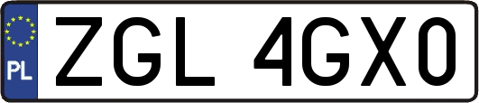 ZGL4GX0