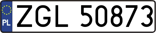 ZGL50873