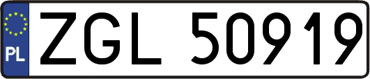 ZGL50919