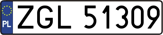 ZGL51309