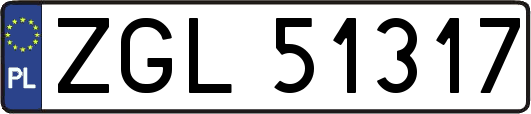 ZGL51317