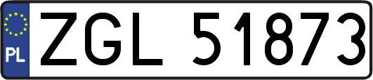 ZGL51873