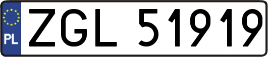 ZGL51919