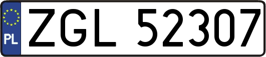 ZGL52307