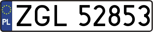 ZGL52853