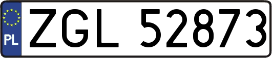 ZGL52873