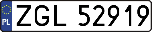 ZGL52919