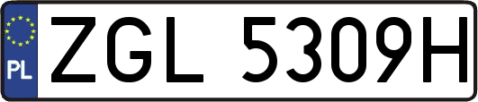 ZGL5309H