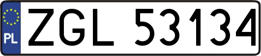 ZGL53134