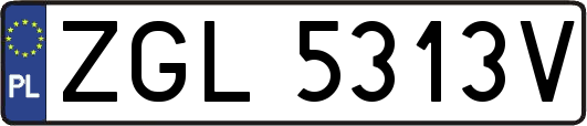 ZGL5313V