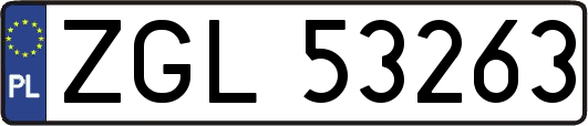 ZGL53263