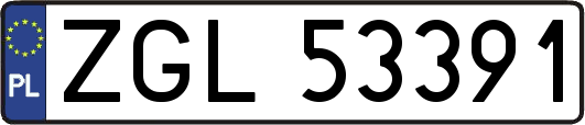 ZGL53391