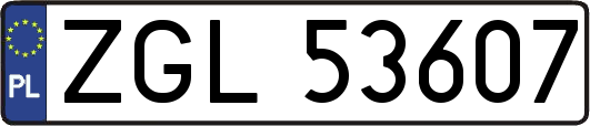 ZGL53607